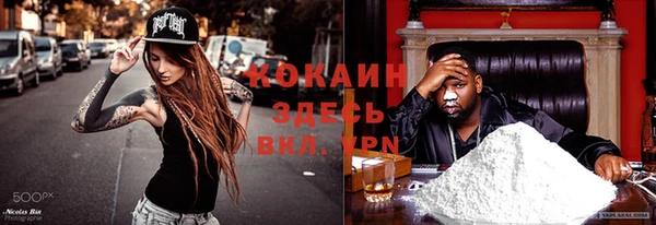 соль ск Алзамай